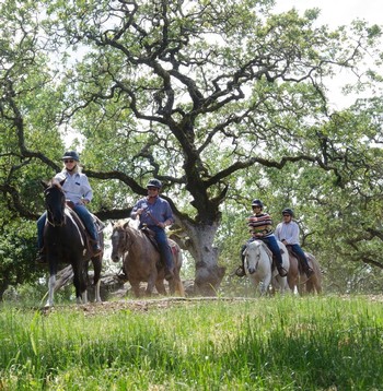 50-Minute Trail Ride Gift Certificate